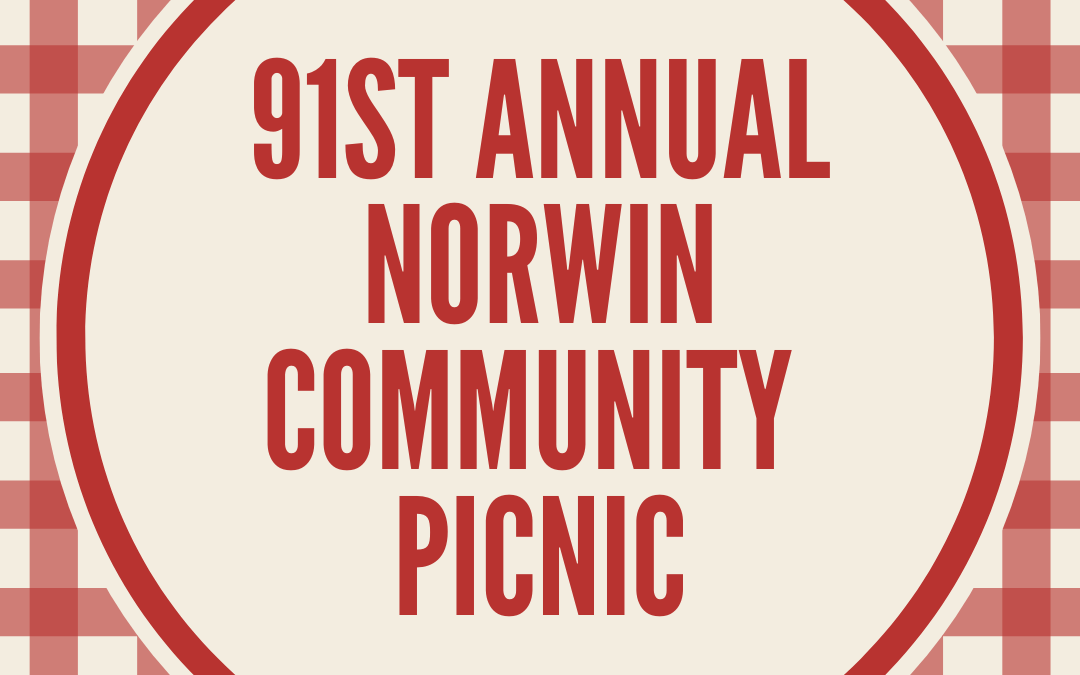 91st Annual Norwin Community Picnic